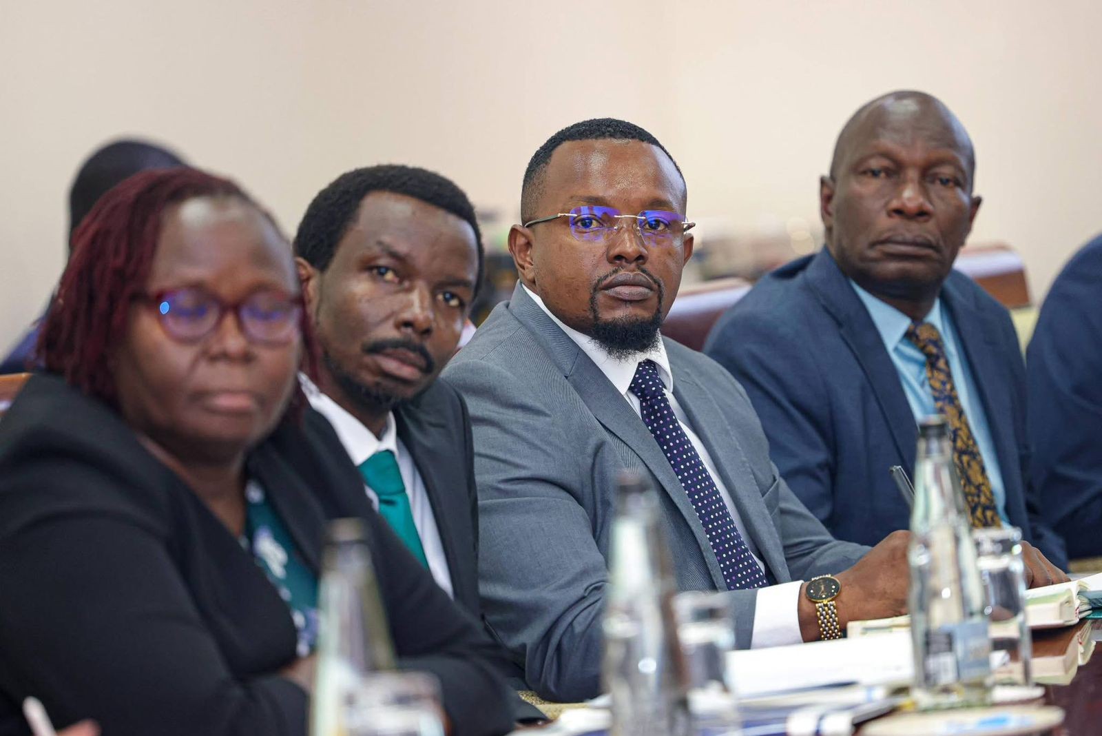 Delegates present at the high-level meeting