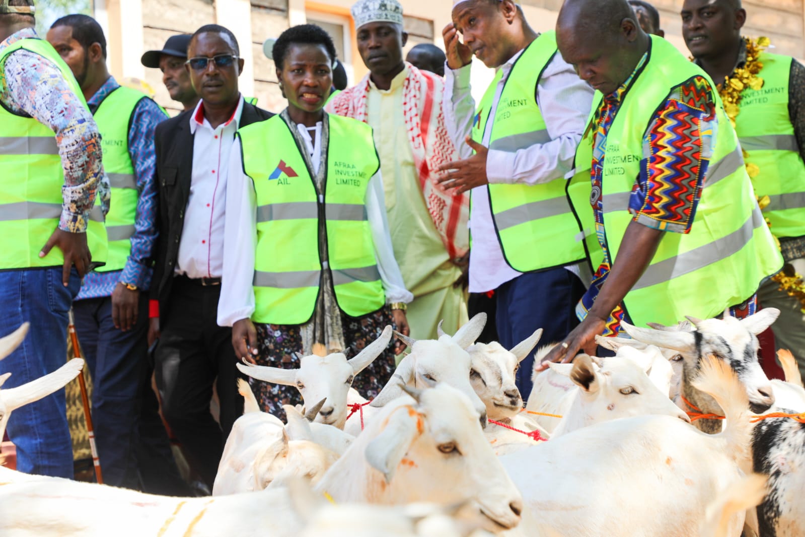 Distribution of goats as part an animal restocking initiative by government to families struggling with droughts