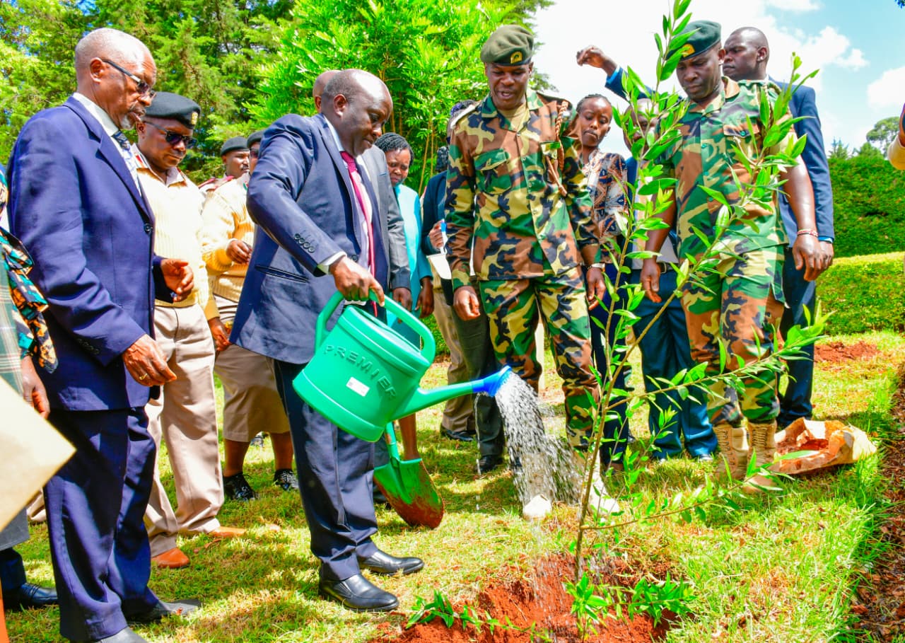 Image 2025-12-18 at 21.33.16