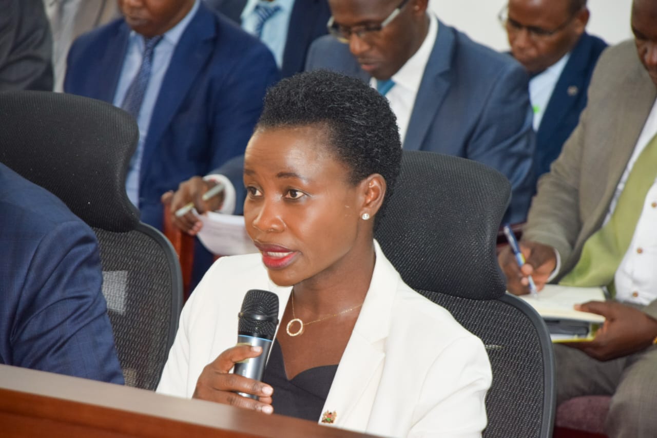 Principal Secretary Hon. Susan Mang'eni speaks during National Assembly Departmental Committee on Trade, Industry, and Cooperatives