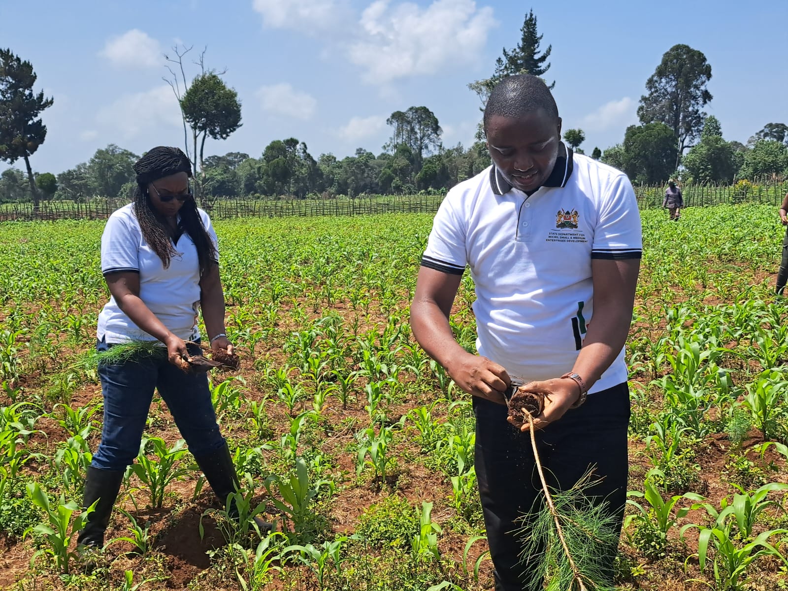 State Department for MESME staff preparing to plant trees at site