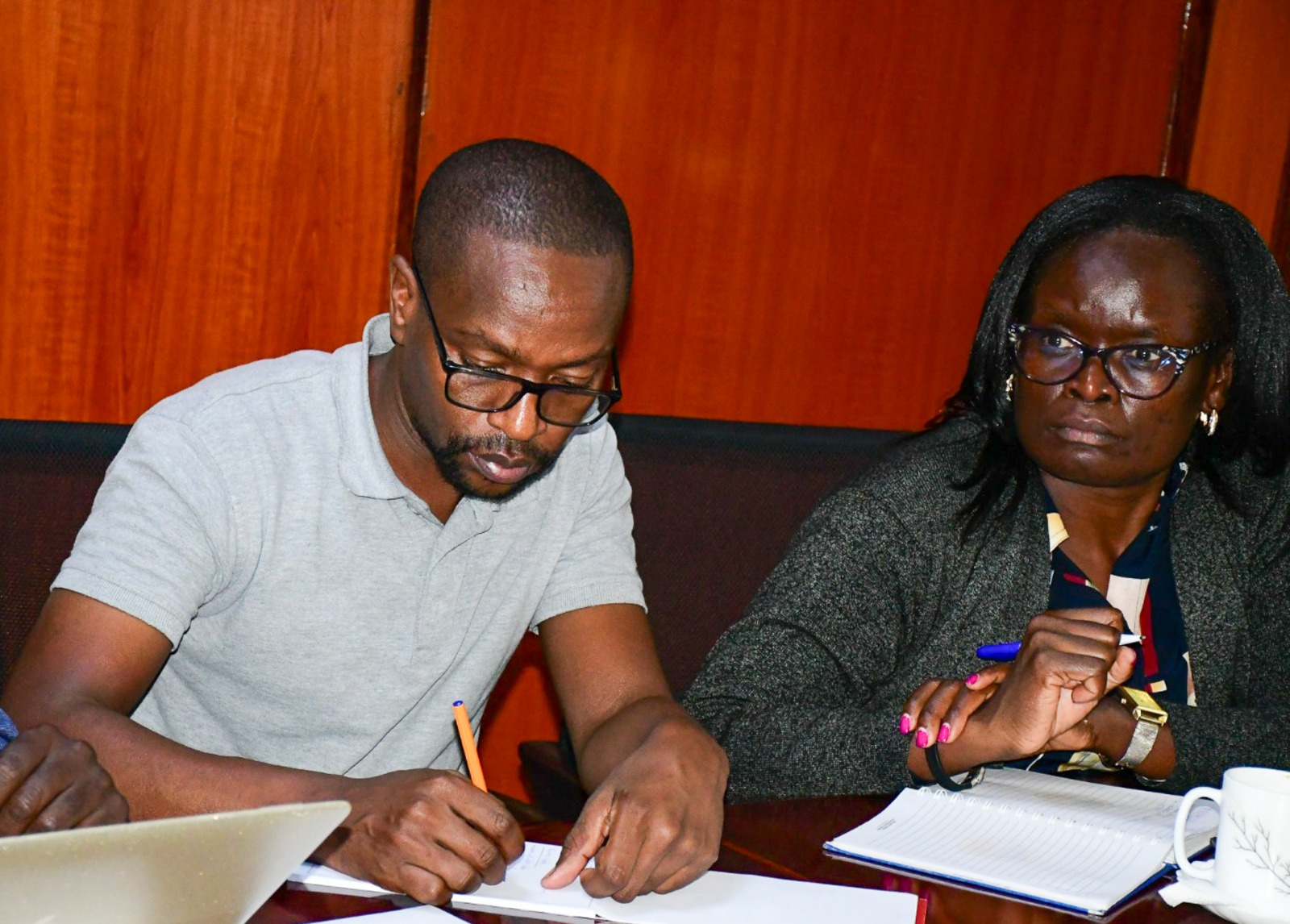 Technical members in the data mapping exercise