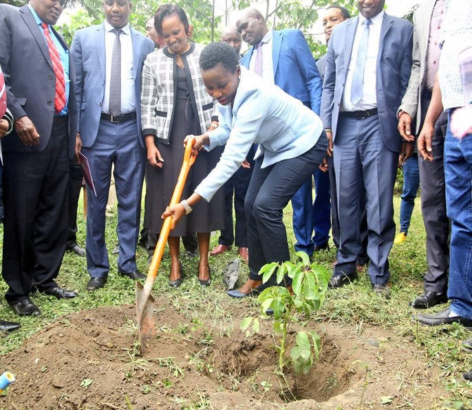 PS participating in tree planting at Kitengela CDF Office