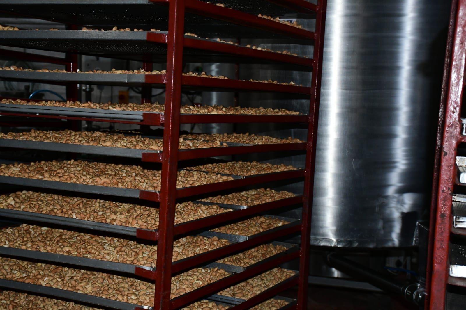 Groundnuts at Green Forest Limited 