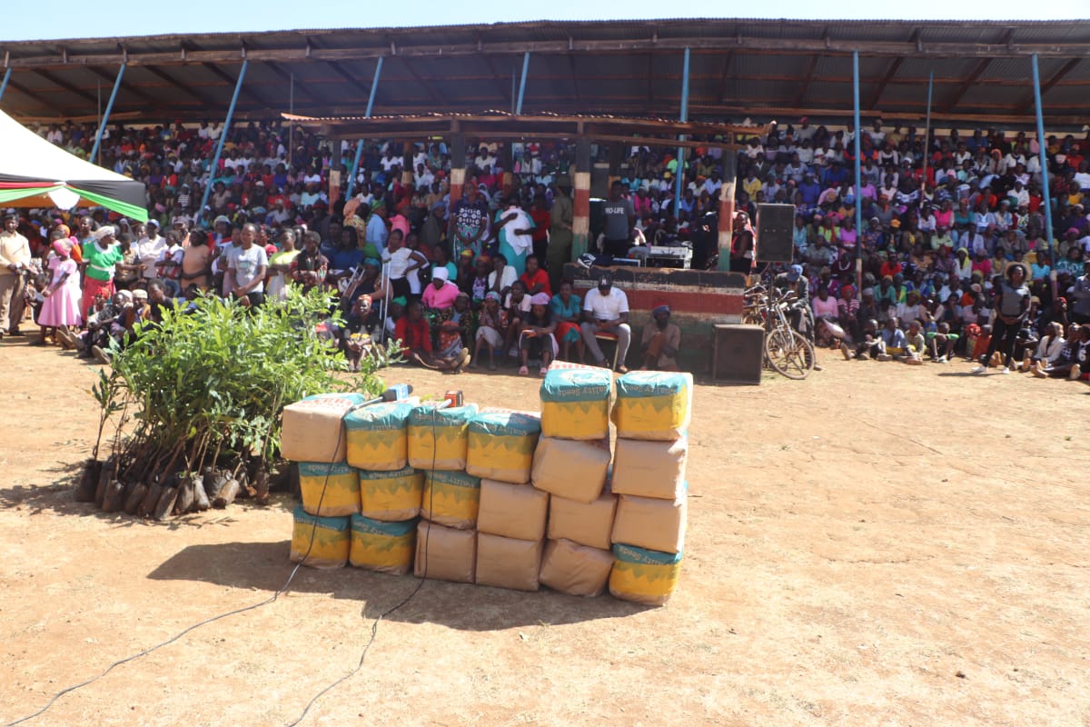 Assorted seeds to be distributed to farmers