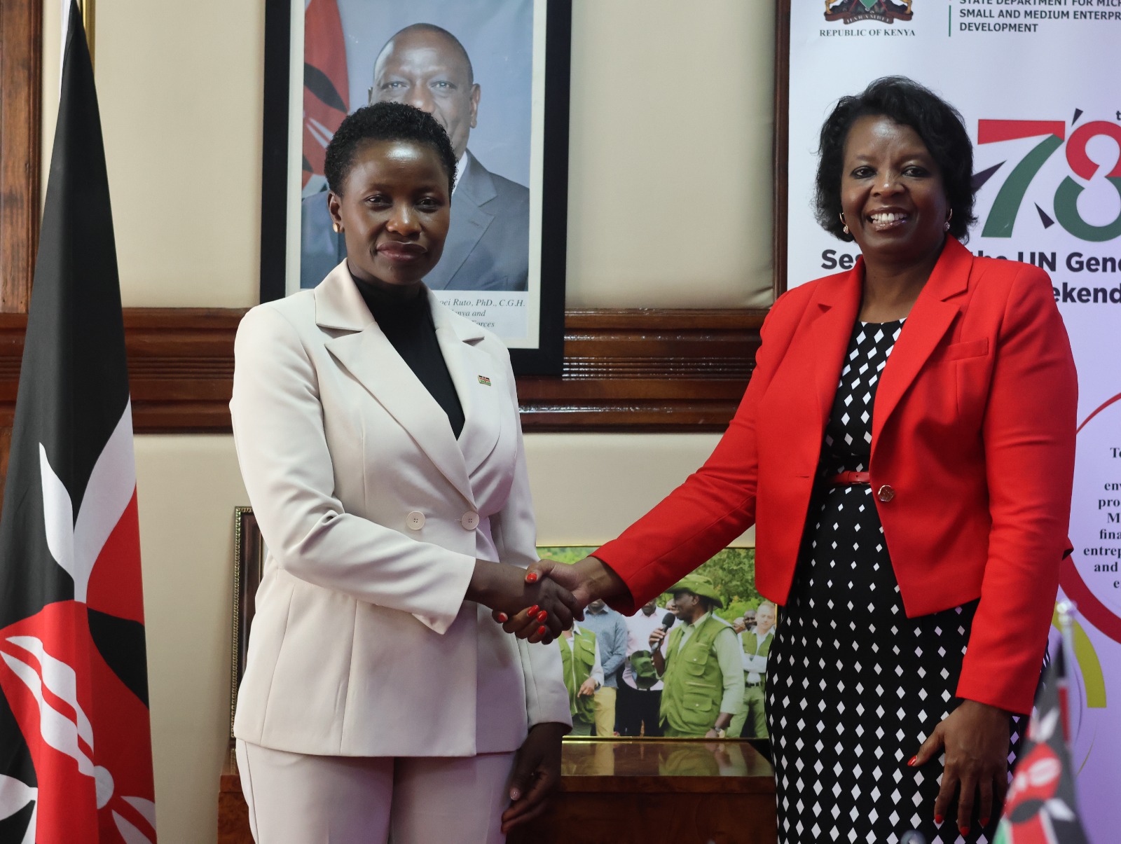 WhatsApp Image 2025-01-27 at 18.33.42