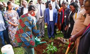 Principal Secretay waters tree at the Baringo Business and Digital Innovation