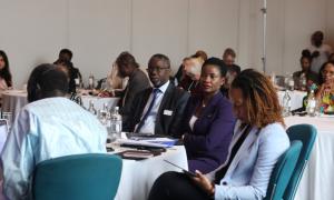 Dignitaries at the high-level roundtable on Social and Solidarity Economy