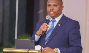 Delegate present at the consultative meeting