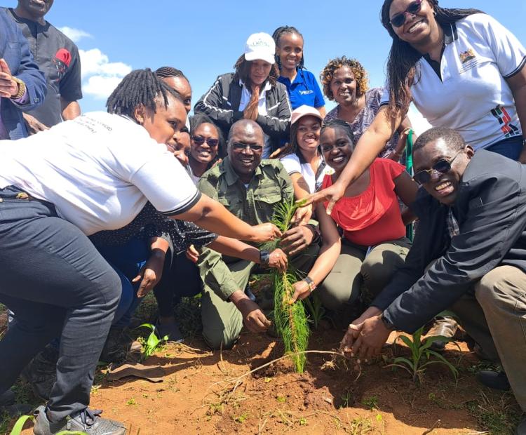 MSME staff assisting the CS in tree planting