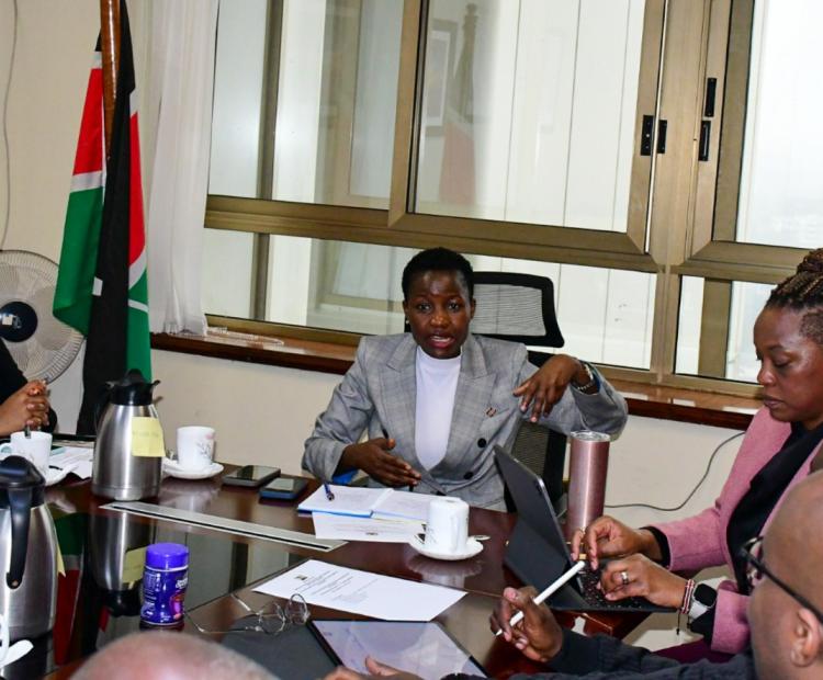 Inception engagement spearheading data mapping exercise by PS