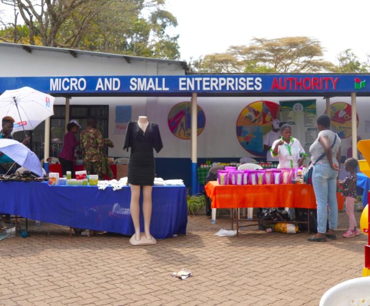 Micro, Small and Medium Enterprise Authority Stand at the Trade Fair