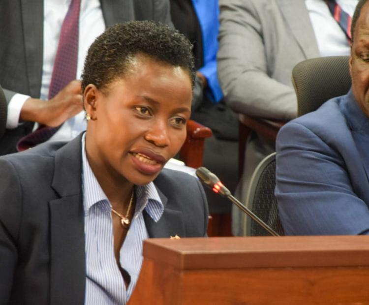 PS MSMEs speaks before National Assembly Committee 