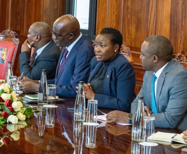 Delegation present during NYOTA Project brief to the president
